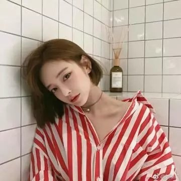 爱情领域2